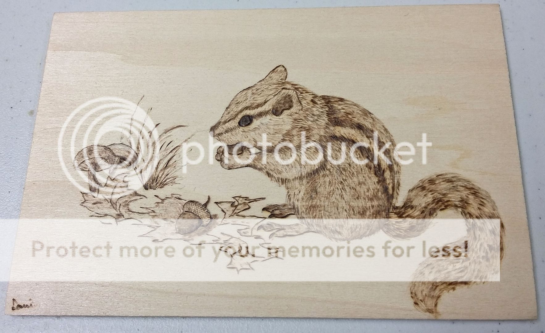 chipmunk_zpseenxjf3l.jpg
