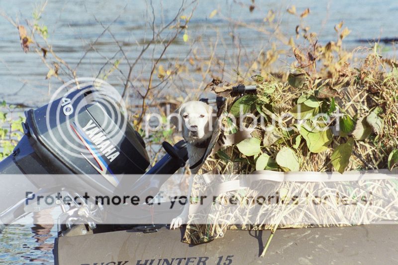Gillian-Boat.jpg