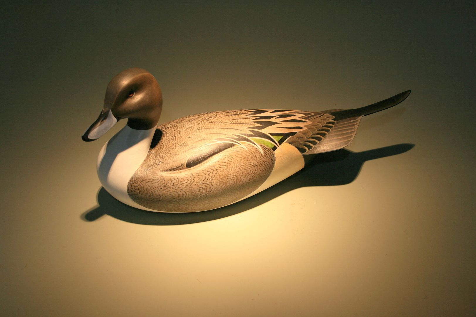 ASA%20-%20Pintail%20drake_zpsxhyyo0li.jpg