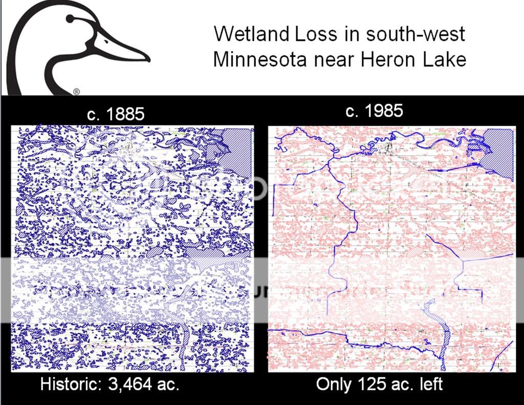 Heron%20Lake%201885-1985_zpsvlhgwfak.jpg