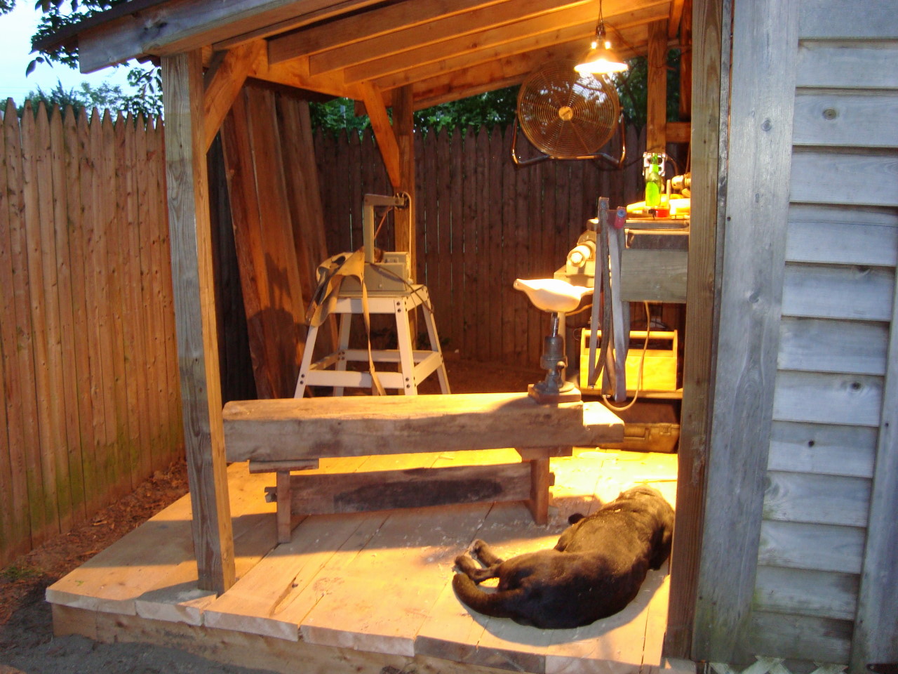DSC02850.jpg