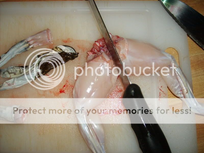 mushrooms824.jpg