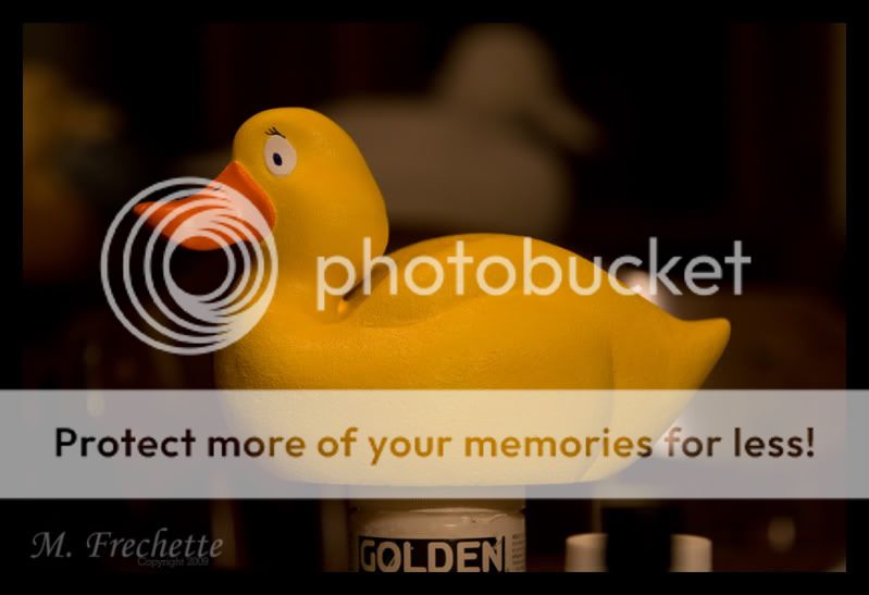 rubberduckie3_edited-1.jpg