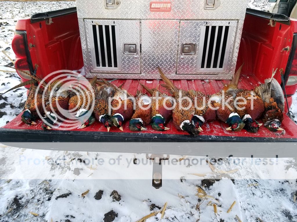 20161211_164957_zpsmi2q2vc7.jpg