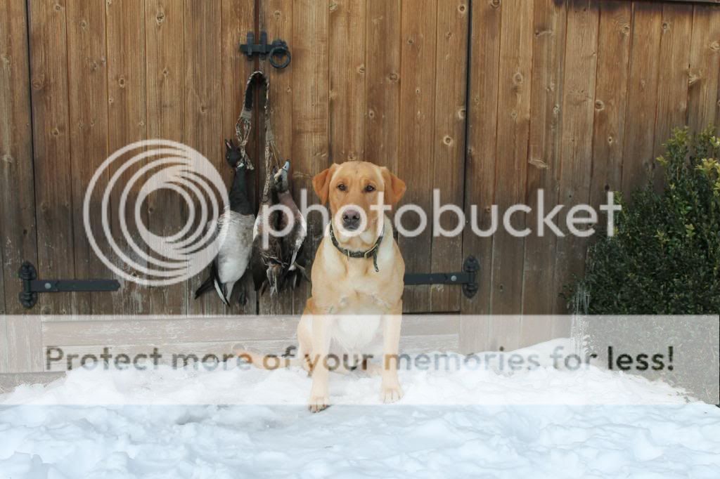 041_zps0ca4875c.jpg