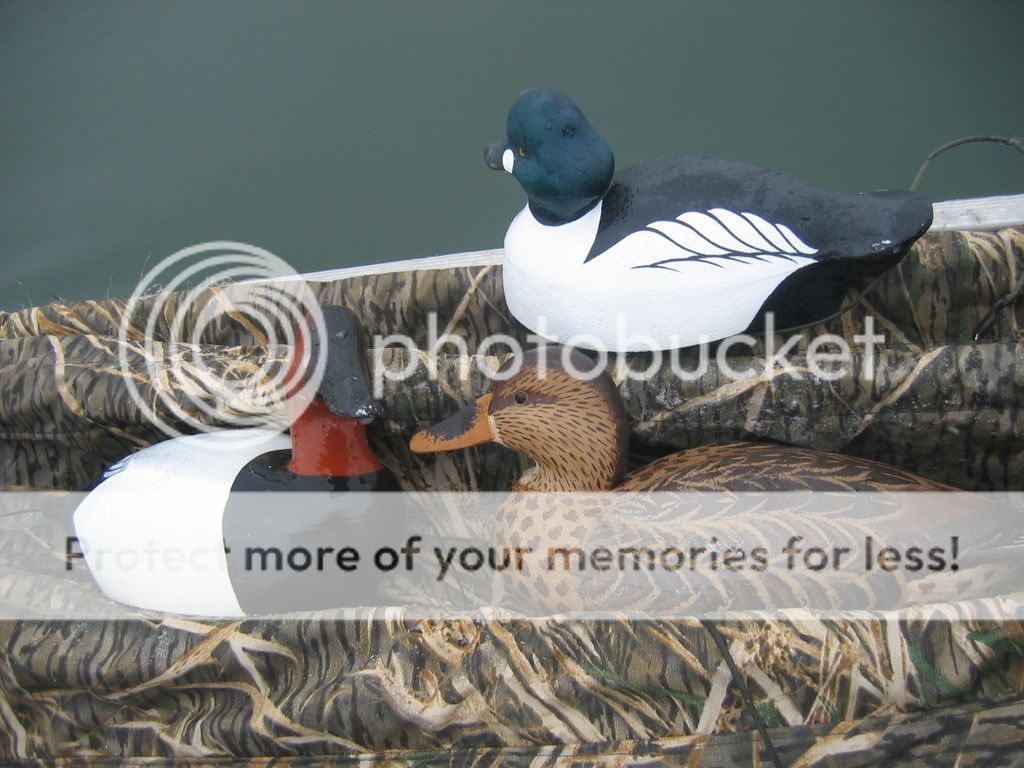 decoysandducks057.jpg