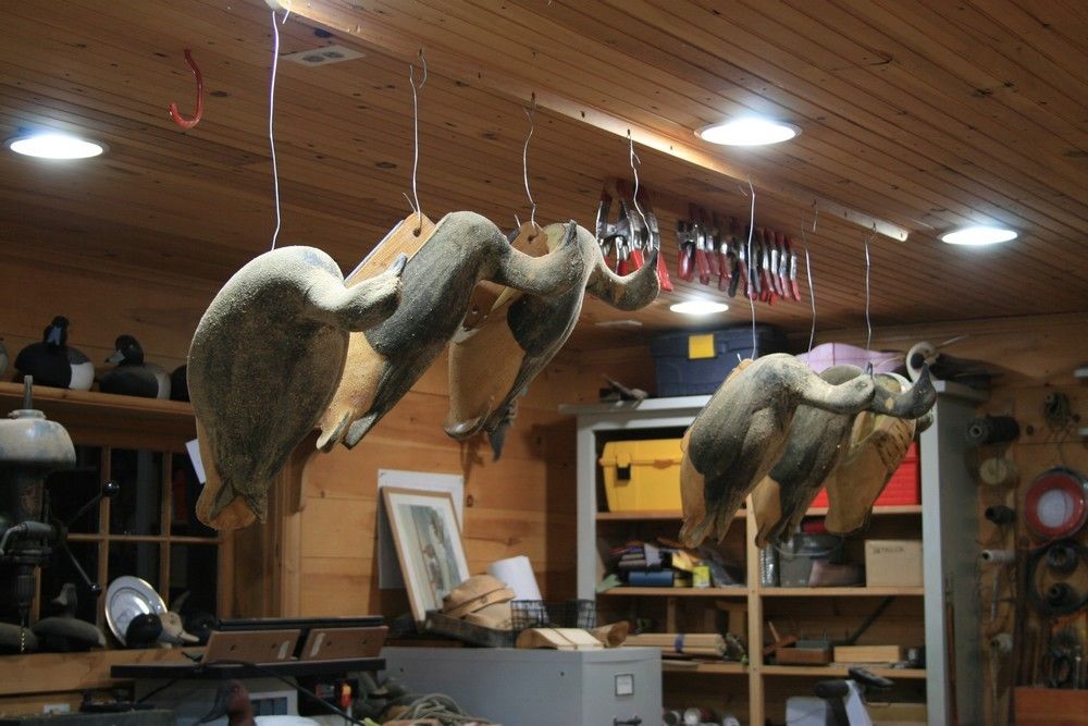4%20Brant%20-%20Coated%20_zpso49furwa.jpg