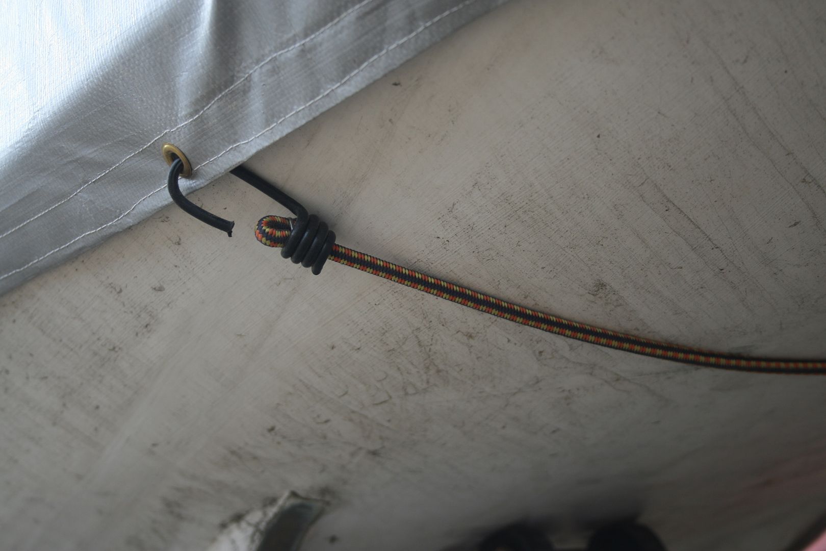 8%20Shock%20Cord_zpstc8rnie5.jpg