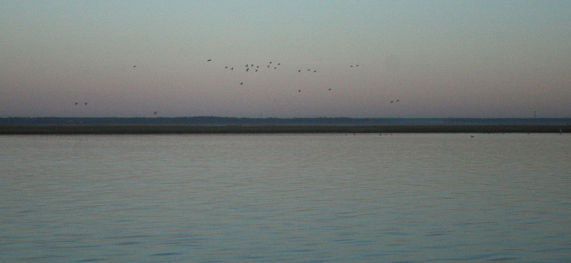 BB%2010_zpss3knxwje.jpg